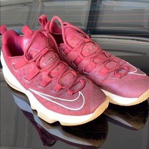 Nike Lebron James Shoes